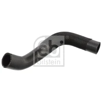 Radiator hose