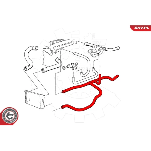 RADIATOR HOSE - 3