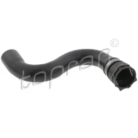 Radiator hose