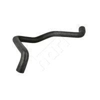 Radiator hose