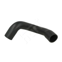 Radiator hose