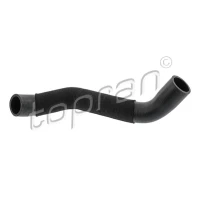 Radiator hose