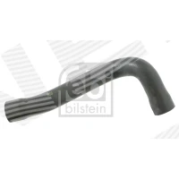 Radiator hose