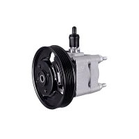 Steering system hydraulic pump