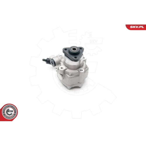 STEERING SYSTEM HYDRAULIC PUMP - 2