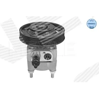 Steering system hydraulic pump