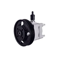 Steering system hydraulic pump