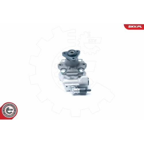 STEERING SYSTEM HYDRAULIC PUMP - 1