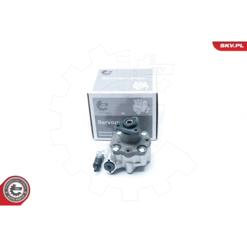 STEERING SYSTEM HYDRAULIC PUMP - 2