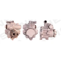 Steering system hydraulic pump