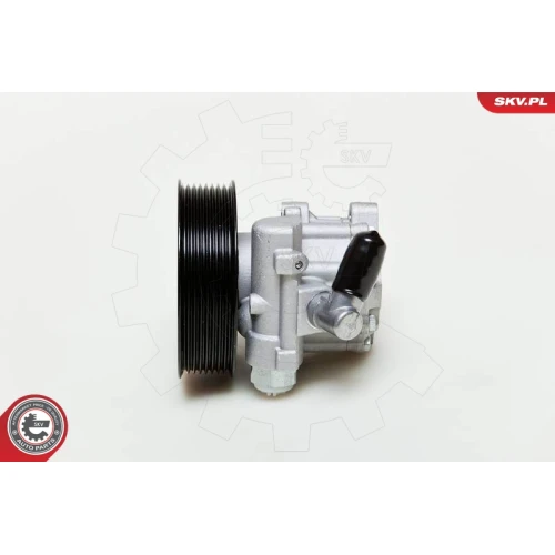 STEERING SYSTEM HYDRAULIC PUMP - 1