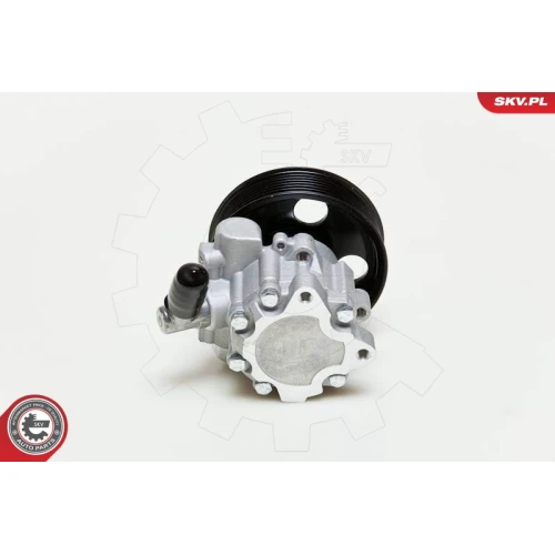 STEERING SYSTEM HYDRAULIC PUMP - 2