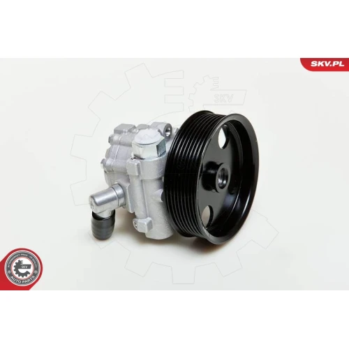 STEERING SYSTEM HYDRAULIC PUMP - 5