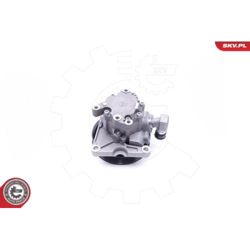 STEERING SYSTEM HYDRAULIC PUMP - 2