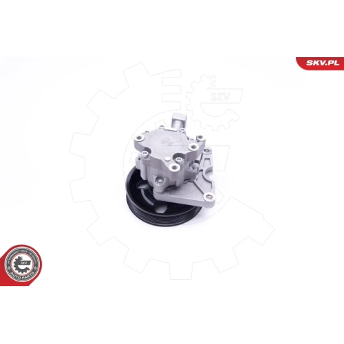 STEERING SYSTEM HYDRAULIC PUMP - 5