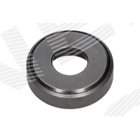 Strut mount