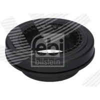 Strut mount