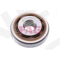 Strut mount