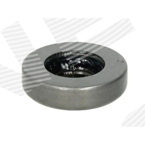 STRUT MOUNT - 1