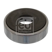 Strut mount