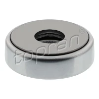 Strut mount