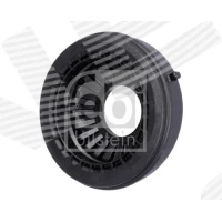 Strut mount