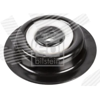 Strut mount