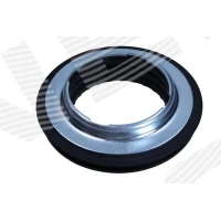 Strut mount