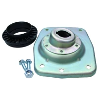 Strut mount kit