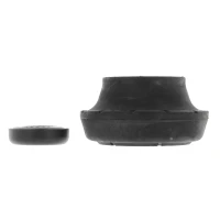 Strut mount kit