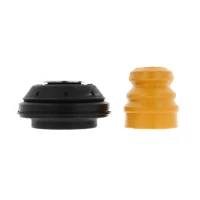 Strut mount kit