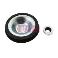 Strut mount kit