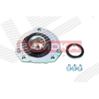 Strut mount kit