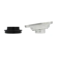 Strut mount kit