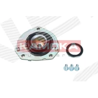 Strut mount kit