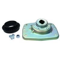 Strut mount kit