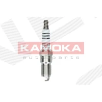 Spark plug