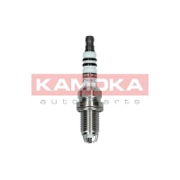 Spark plug