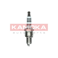 Spark plug