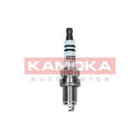 Spark plug