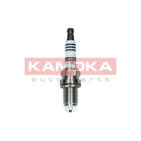 Spark plug