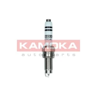 Spark plug