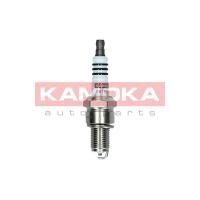 Spark plug