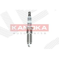 Spark plug