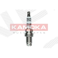 Spark plug