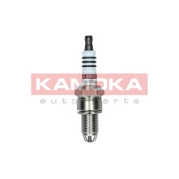 Spark plug