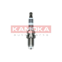 Spark plug