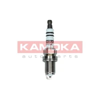 Spark plug