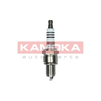 Spark plug