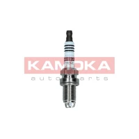 Spark plug